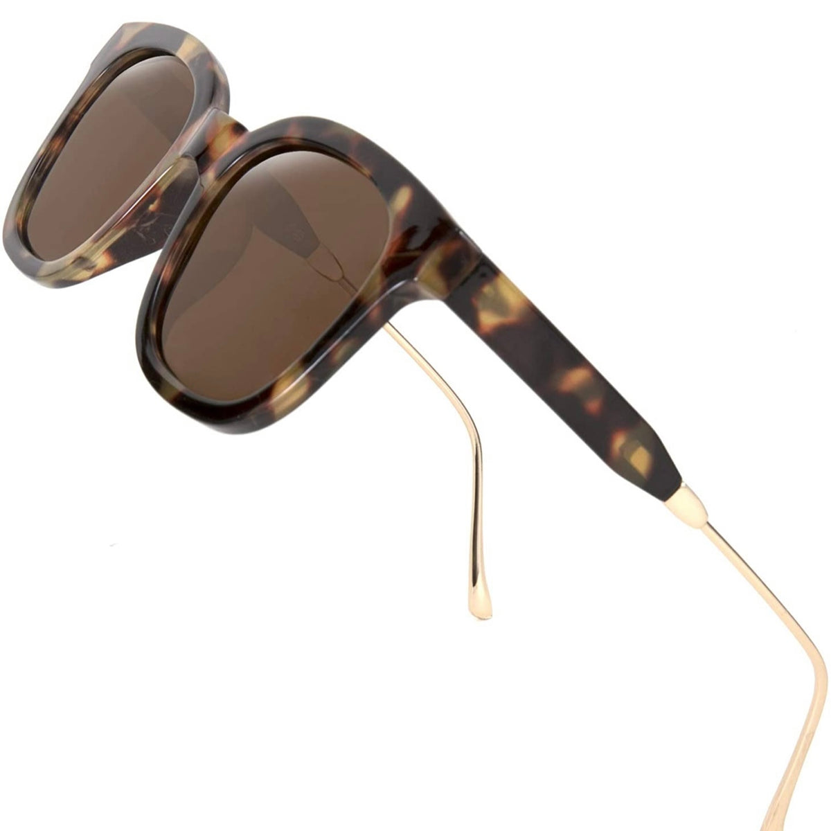 ROME x Brown Tortoise